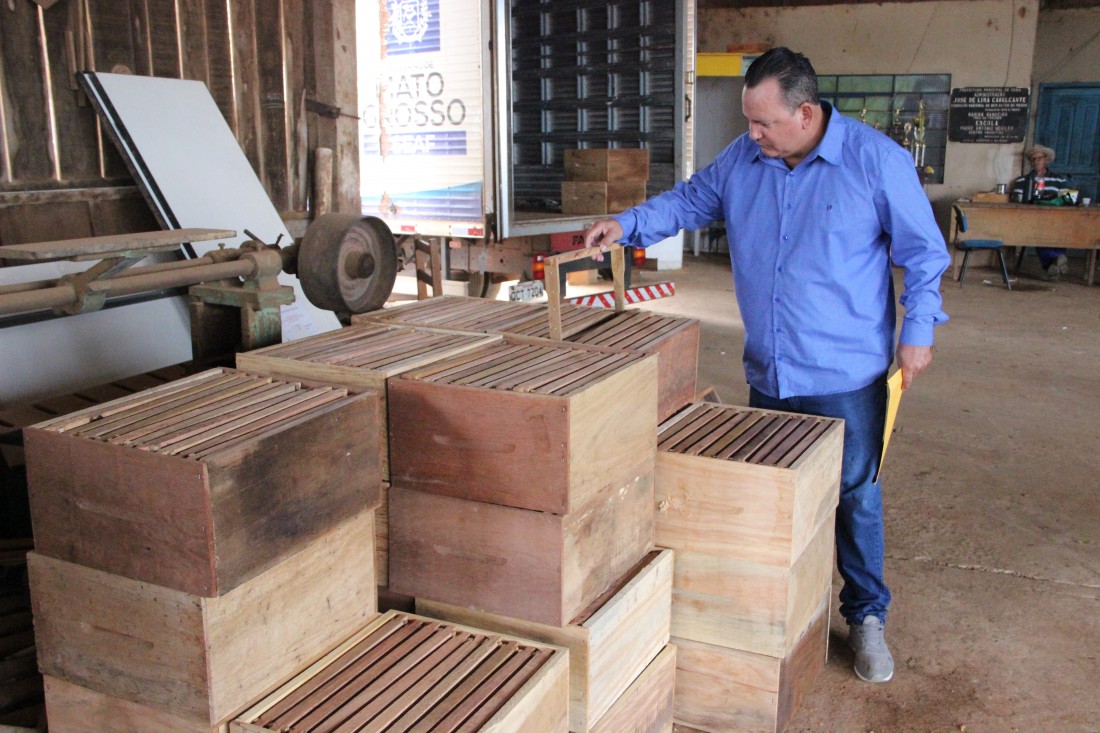 APICULTURA - Município recebe caixas de abelhas para agricultores familiares