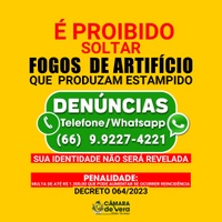 Denuncie pelo whatsapp e ajude a promover uma cidade mais ordeira