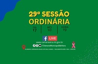 Pauta da 29ª Sessão Ordinária de 2022